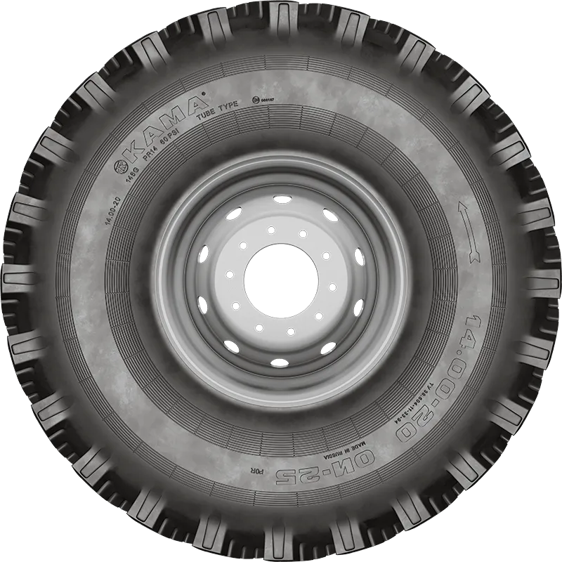 ОИ-25 нс10 в Певеке — KAMA TYRES ОИ-25 нс10 в Певеке